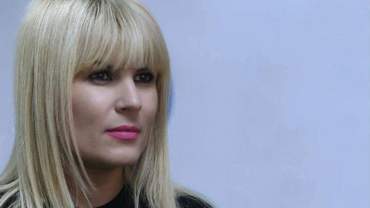 Elena Udrea este noul preşedinte al Partidului Mişcarea Populară. Cristian Diaconescu va candida la preşedinţie din partea PMP