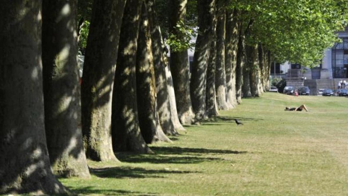 Vreme deosebit de caldă, de RUSALII. În vest, maximele ating 34 de grade Celsius