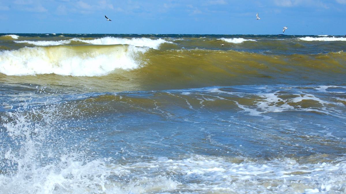 Un ofițer SPP a fost găsit înecat, la Neptun, în Golful Mortului