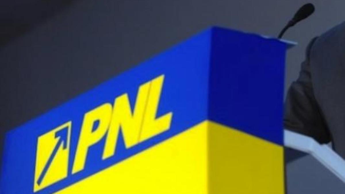 12 deputaţi PNL şi-au anunţat în plen DEMISIA din partid