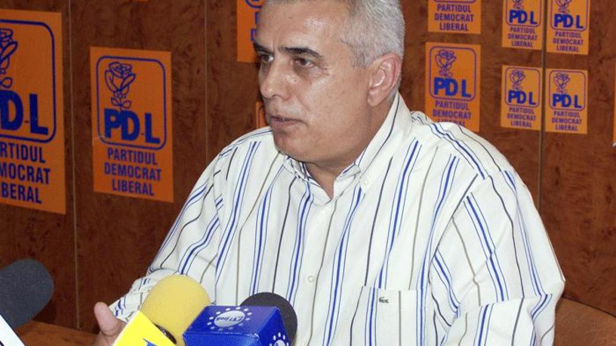 Gorj: Furt în numele partidului