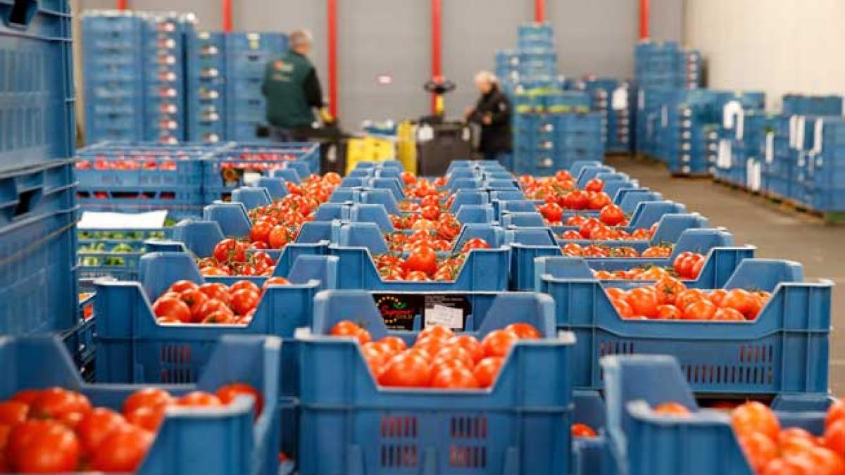 Producătorii români, afectaţi de embargoul rusesc