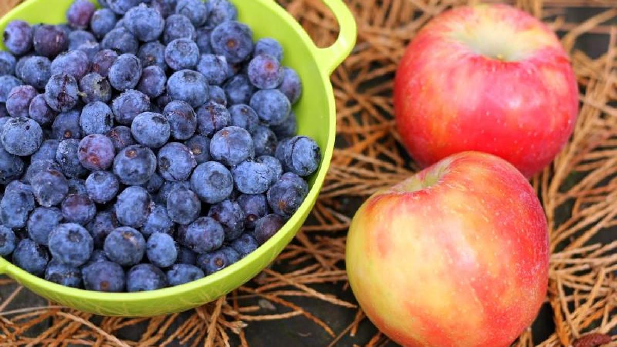 Top 10 alimente pentru o dietă sănătoasă și echilibrată