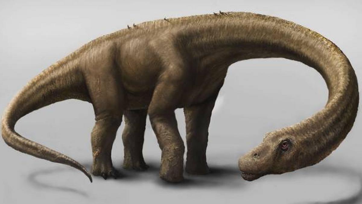 Cel mai mare dinozaur terestru descoperit până acum. Cântărea cât şapte Tyrannosaurus Rex
