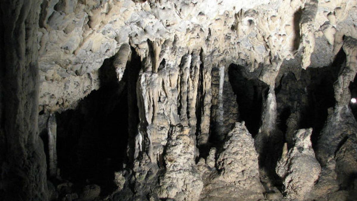Proiect-pilot pentru România, de monitorizare a schimbărilor microclimatice din peşterile turistice