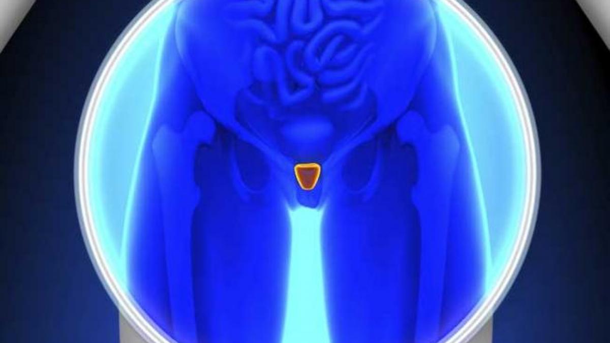 URINECTRICITATE - Urina ca energie regenerabilă
