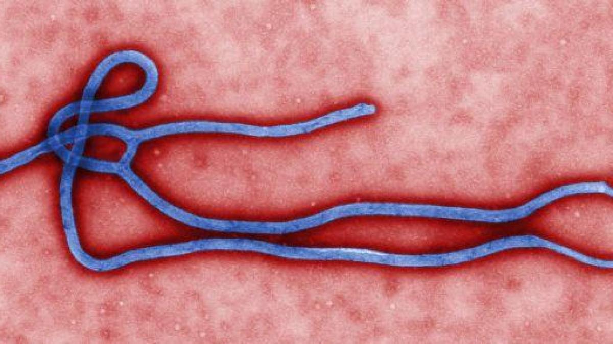  Ebola îşi face apariţia şi în Elveţia