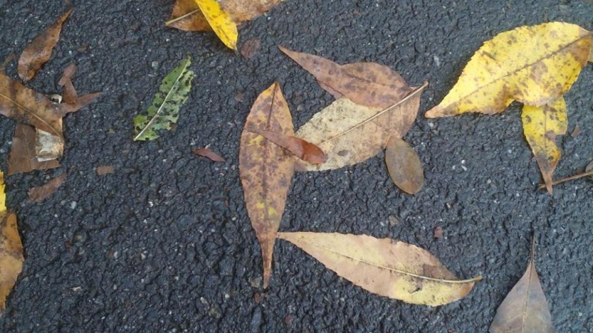 Vremea se răceşte semnificativ de miercuri. Temperaturile scad cu până la 10 grade în toată ţara