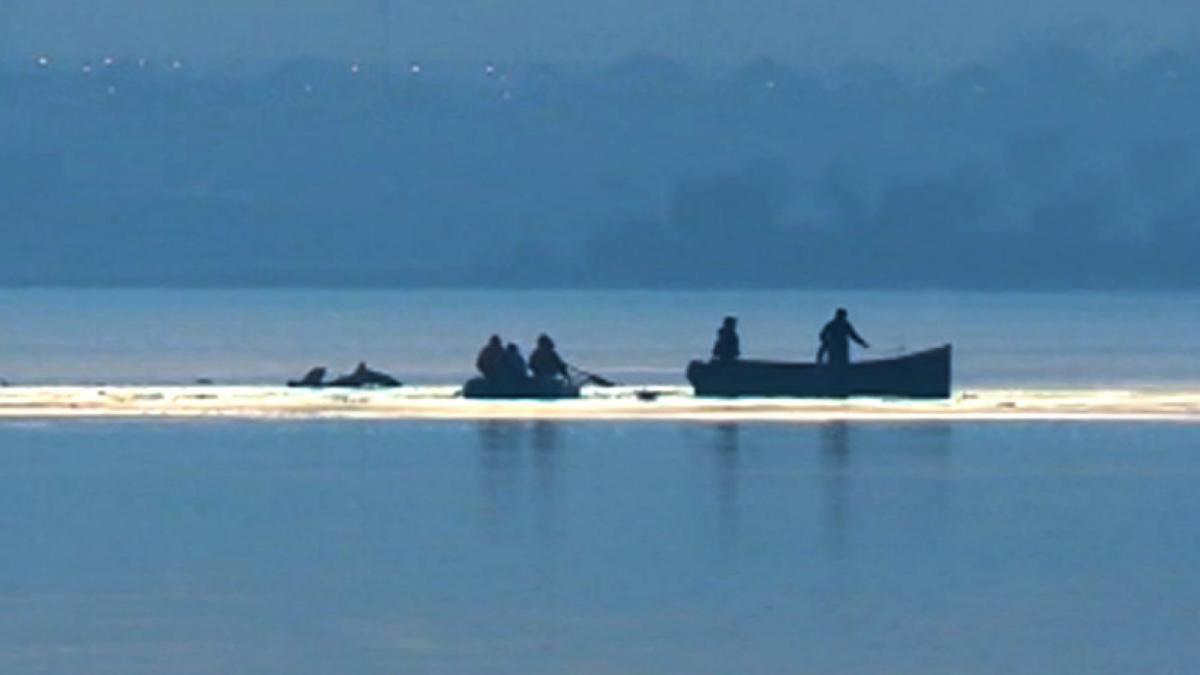dubii privind autenticitatea materialului video de la prabusirea elicopterului smurd in lacul siutghiol