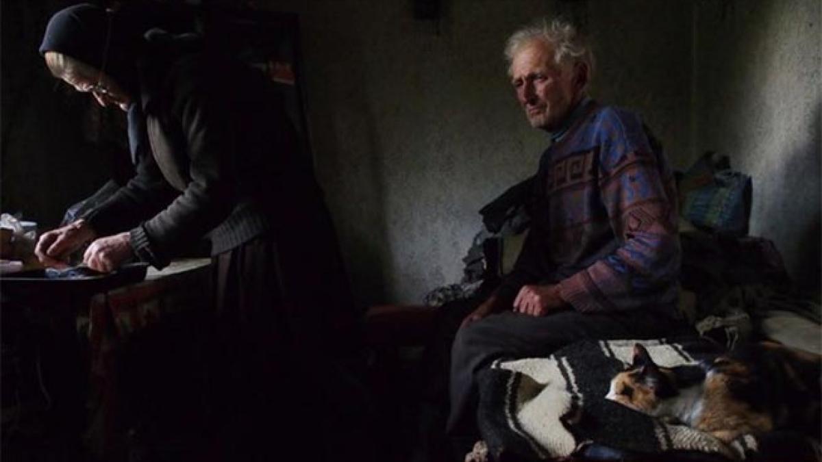 O pisică din Maramureş, vedetă National Geographic 