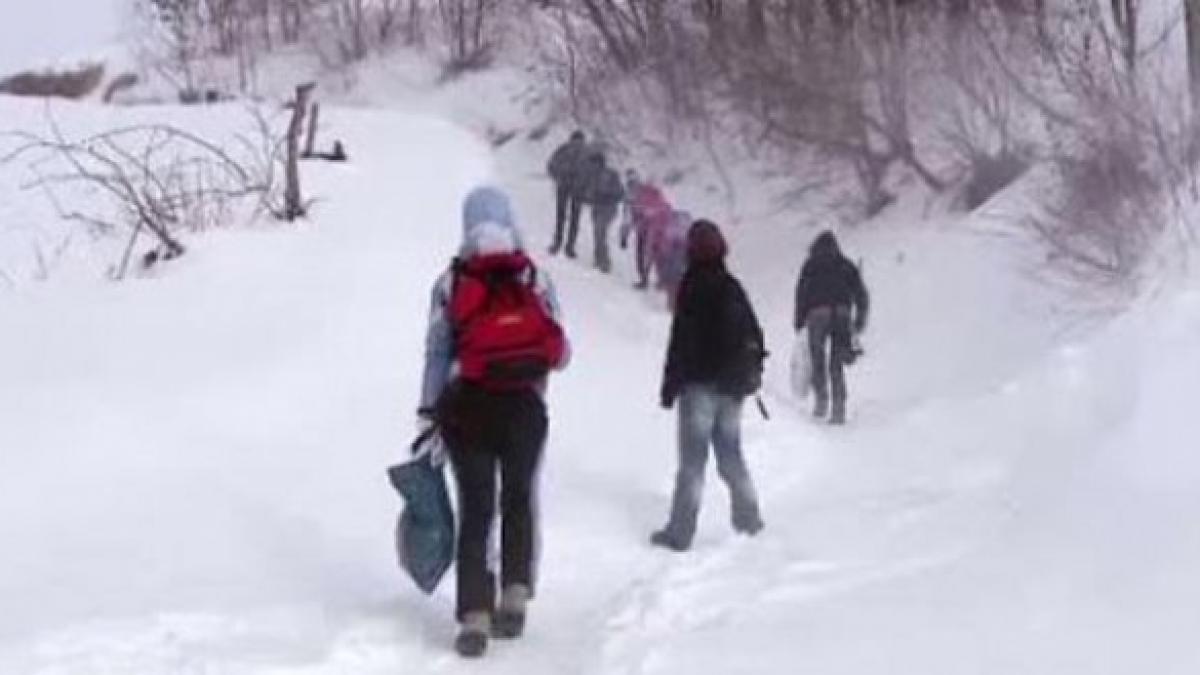 Ninsorile şi viscolul închid şcolile. 21 de unităţi de învăţământ au renunţat la cursuri din cauza vremii