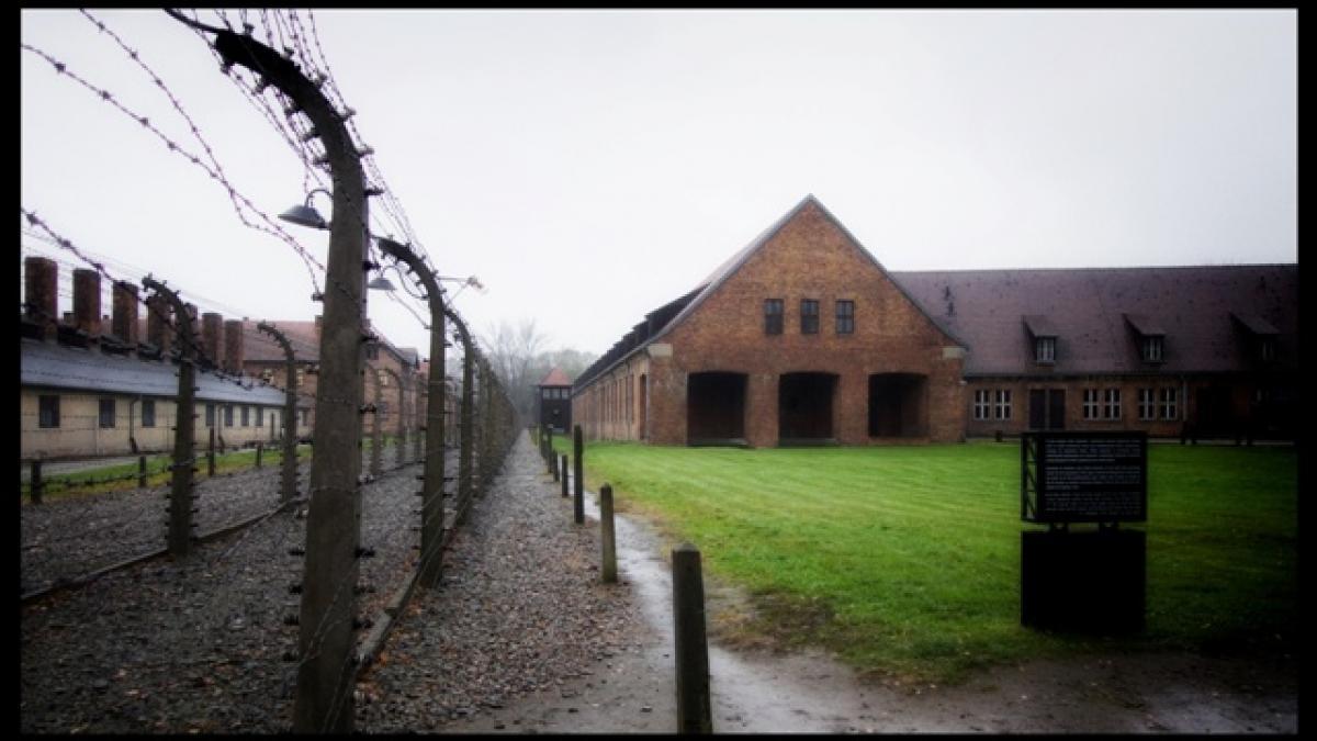  Discovery: 70 de ani de Holocaust