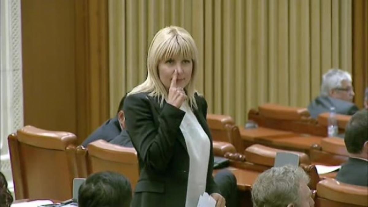 Referat procurori DNA: Elena Udrea, operațiuni specifice de spălare a banilor: Vânzare-cumpărare de bunuri, împrumuturi...