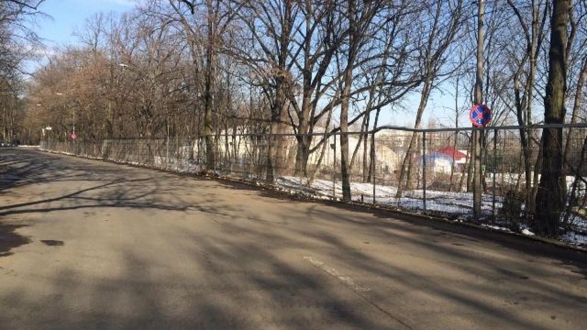 Parcul Herăstrău, în mâinile judecătorilor. Magistraţii de la CA au stabilit un nou termen pentru luna martie 