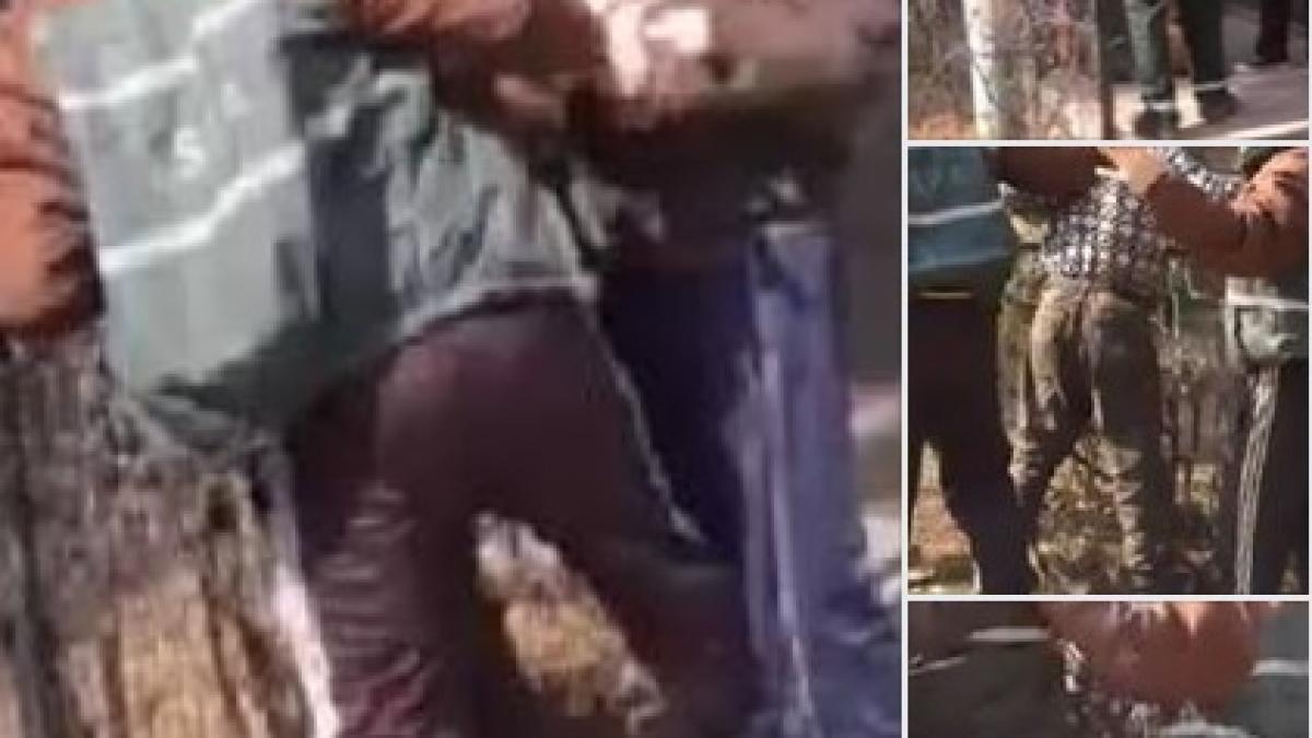 (VIDEO) Bucureștenii se plâng de câinii străzii, dar atunci când vin HINGHERII..."MORI, MORI, fire-ai al dracu' tu să fii"