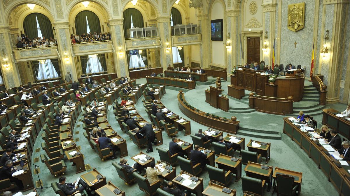 Piratii, prima lovitura reusita in Parlament