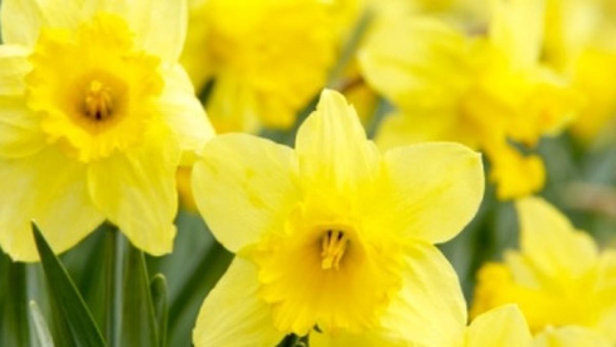 Prognoza meteo pentru acest weekend, în ţară şi la Bucureşti