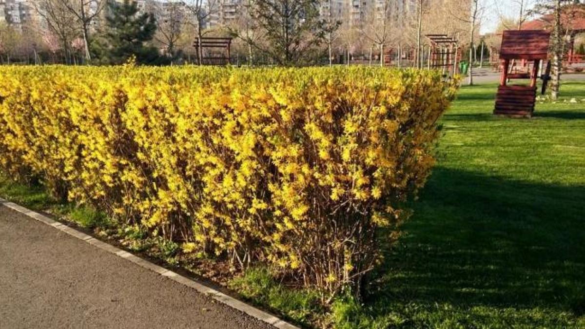 ANM: Temperaturi maxime de 22 de grade și ploi moderate. PROGNOZA METEO până în 10 mai