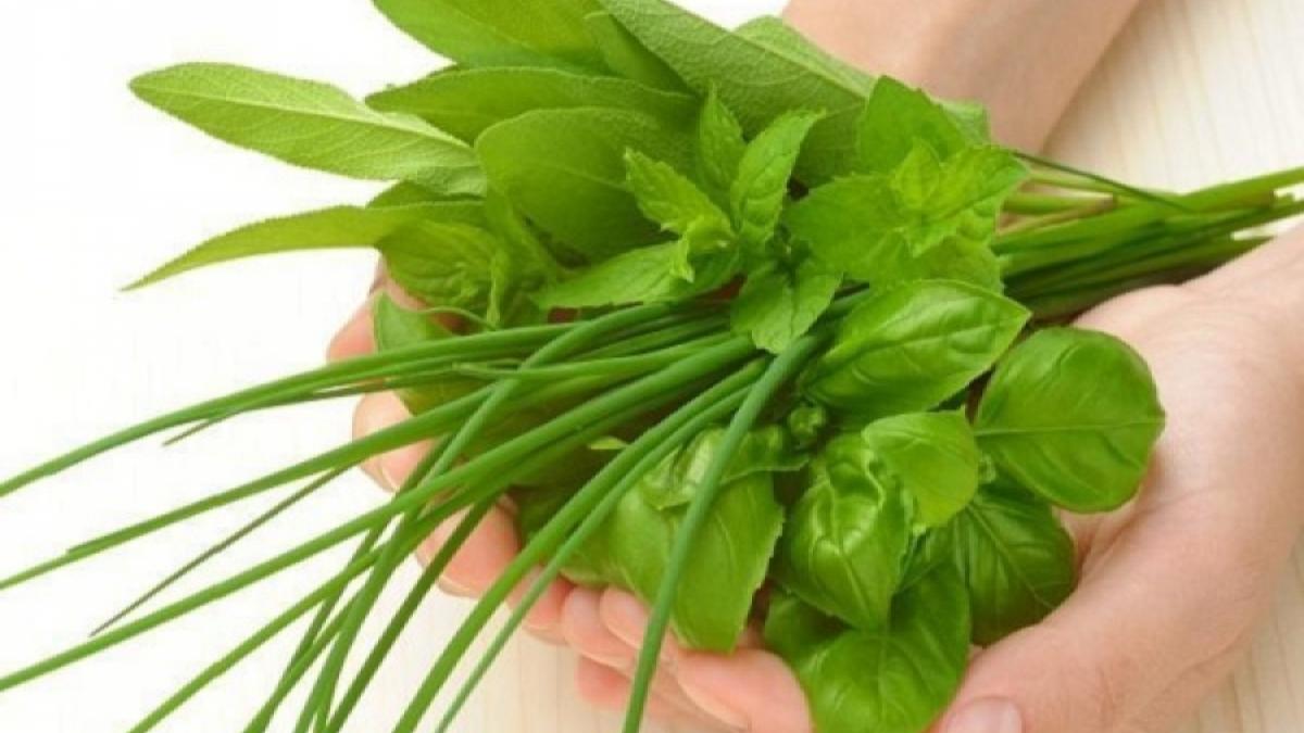 Dietele bunicii. Slăbești ușor cu leurdă, păpădie și tătăneasă