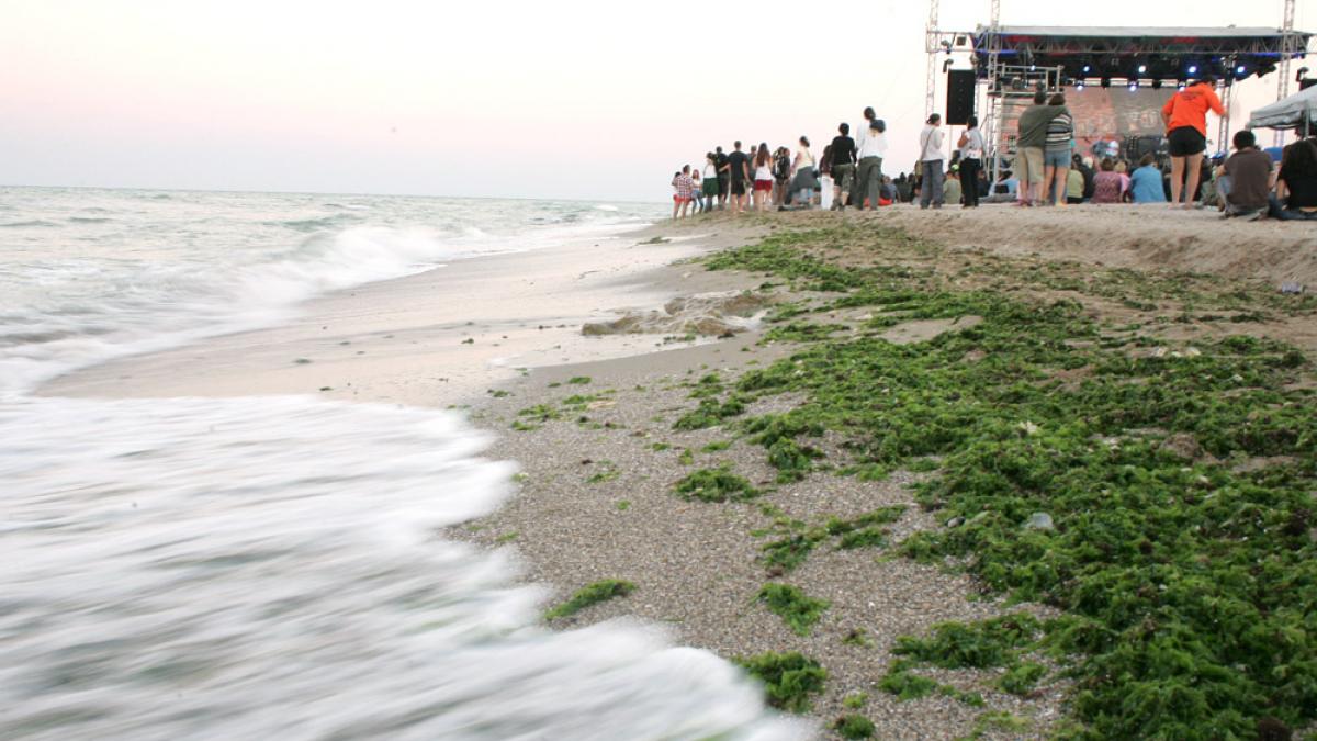 Programul evenimentelor la mare cu ocazia minivacantei de 1 mai