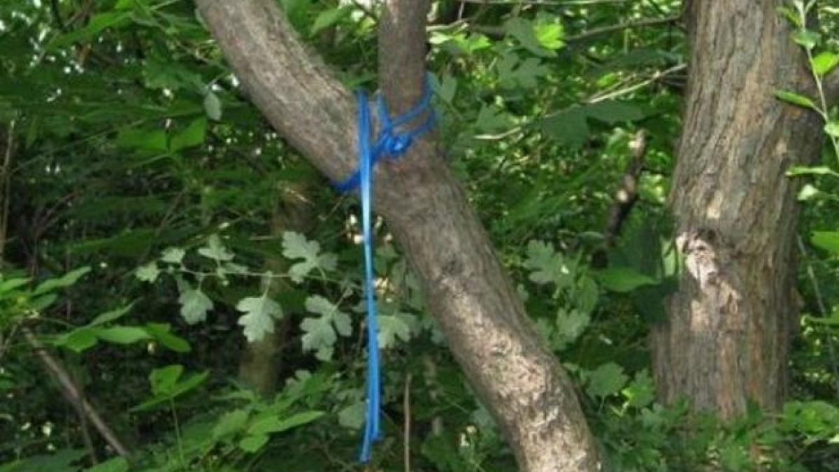 Un celebru medic chirurg pediatru din România, găsit spânzurat!