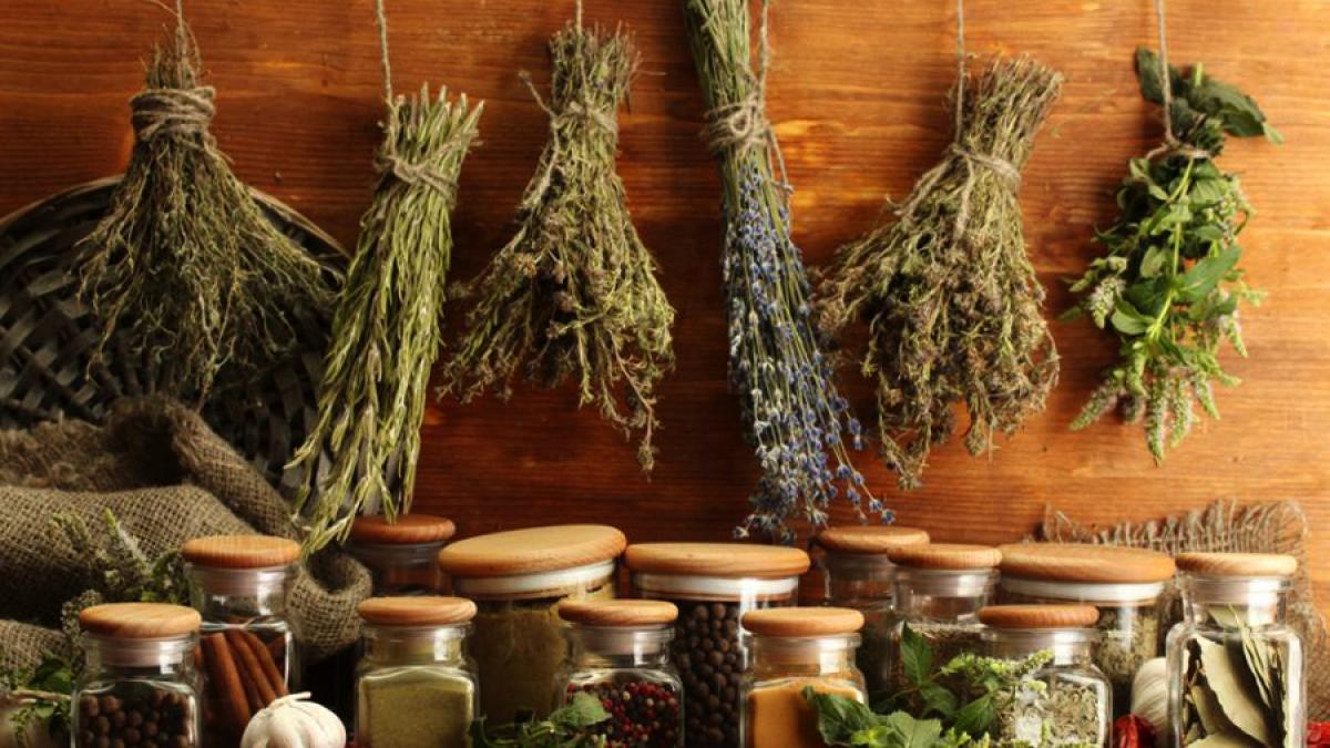 Aromoterapia, o alternativă la antibioticele de sinteză