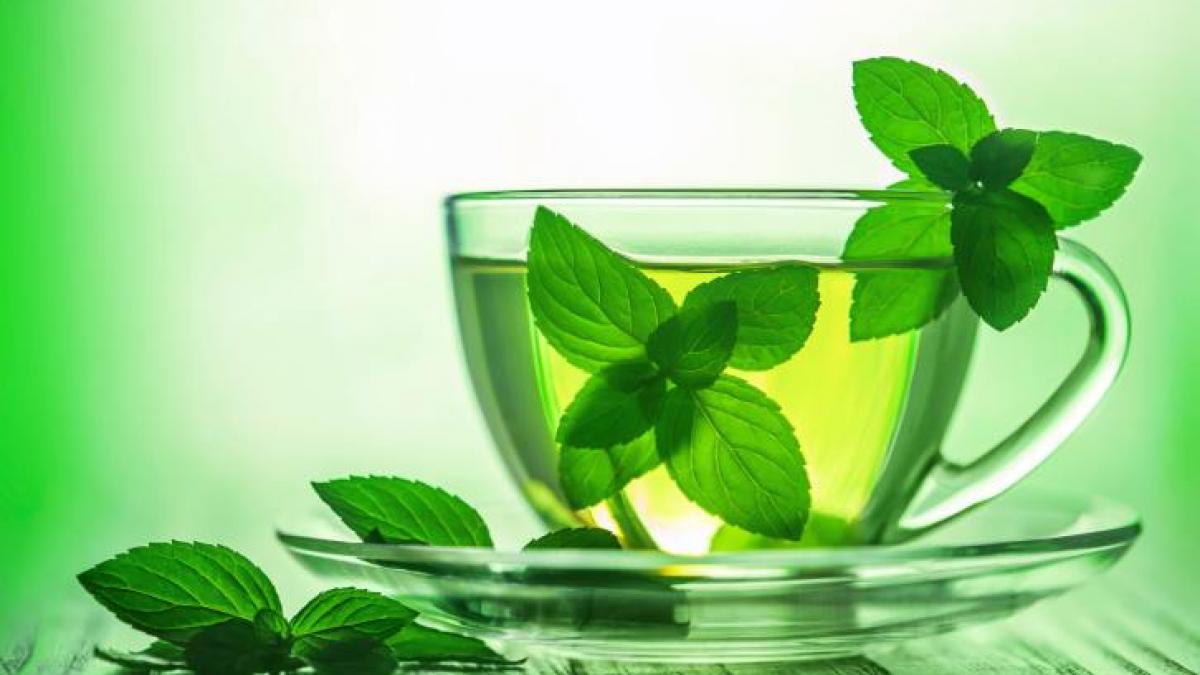 Descoperire IMPORTANTA. Ceaiul verde combate CANCERUL