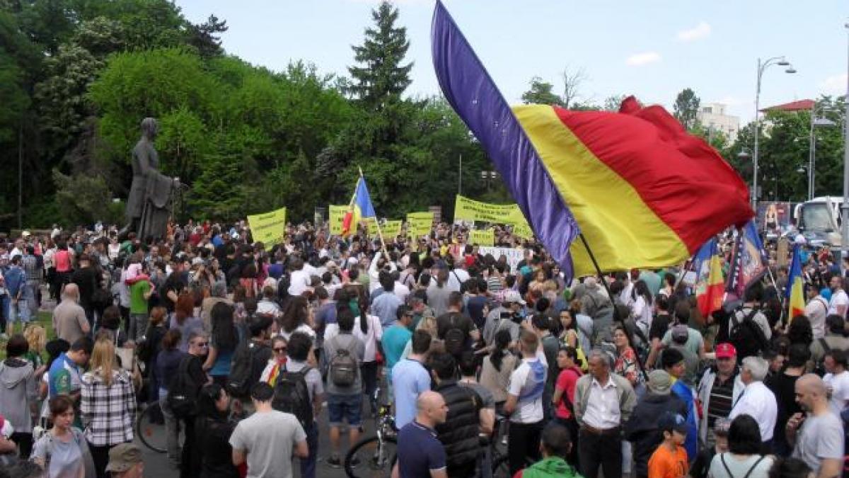 Protest împotriva tăierilor ilegale a pădurilor, la Suceava