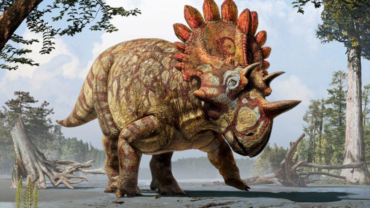 A fost descoperită o nouă specie de dinozaur
