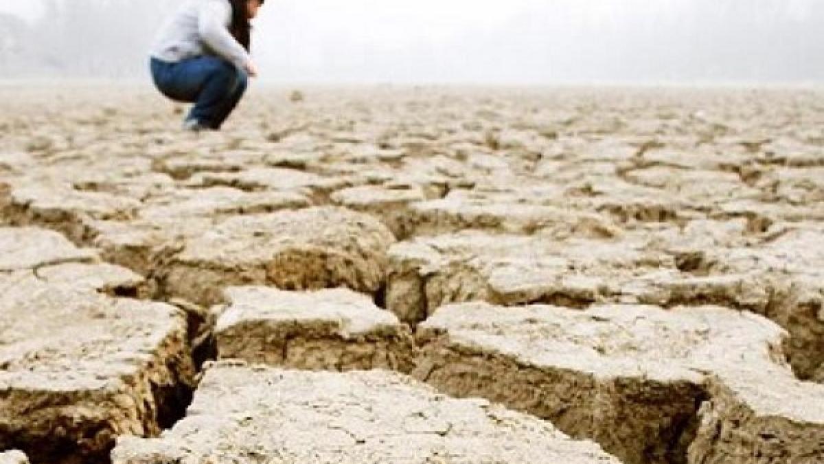 Seceta pedologică va persista pe suprafeţe agricole extinse