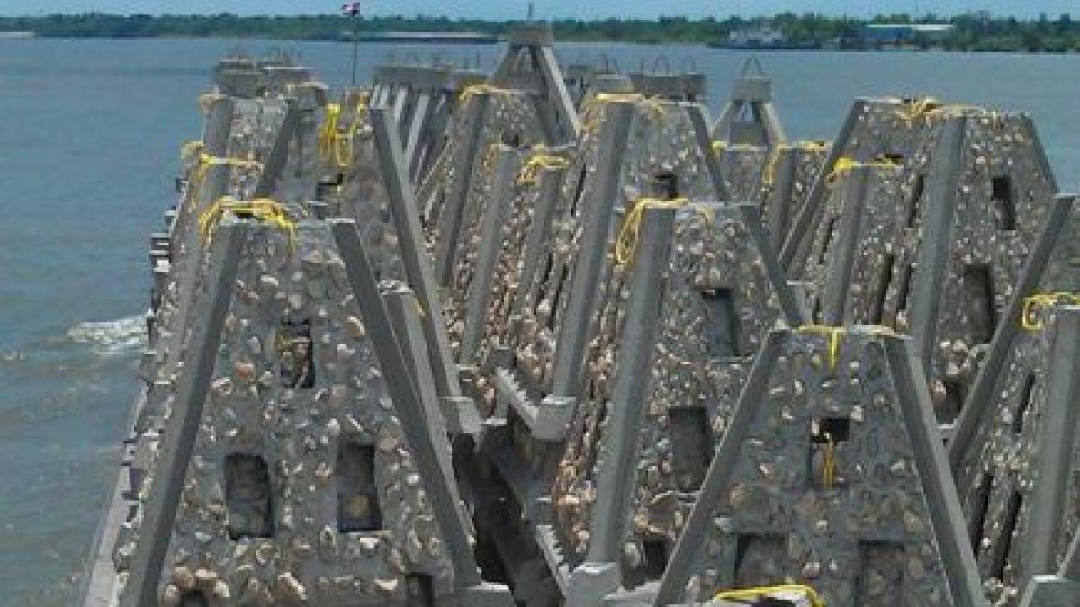 Opt recife artificiale au fost amplasate în Marea Neagră