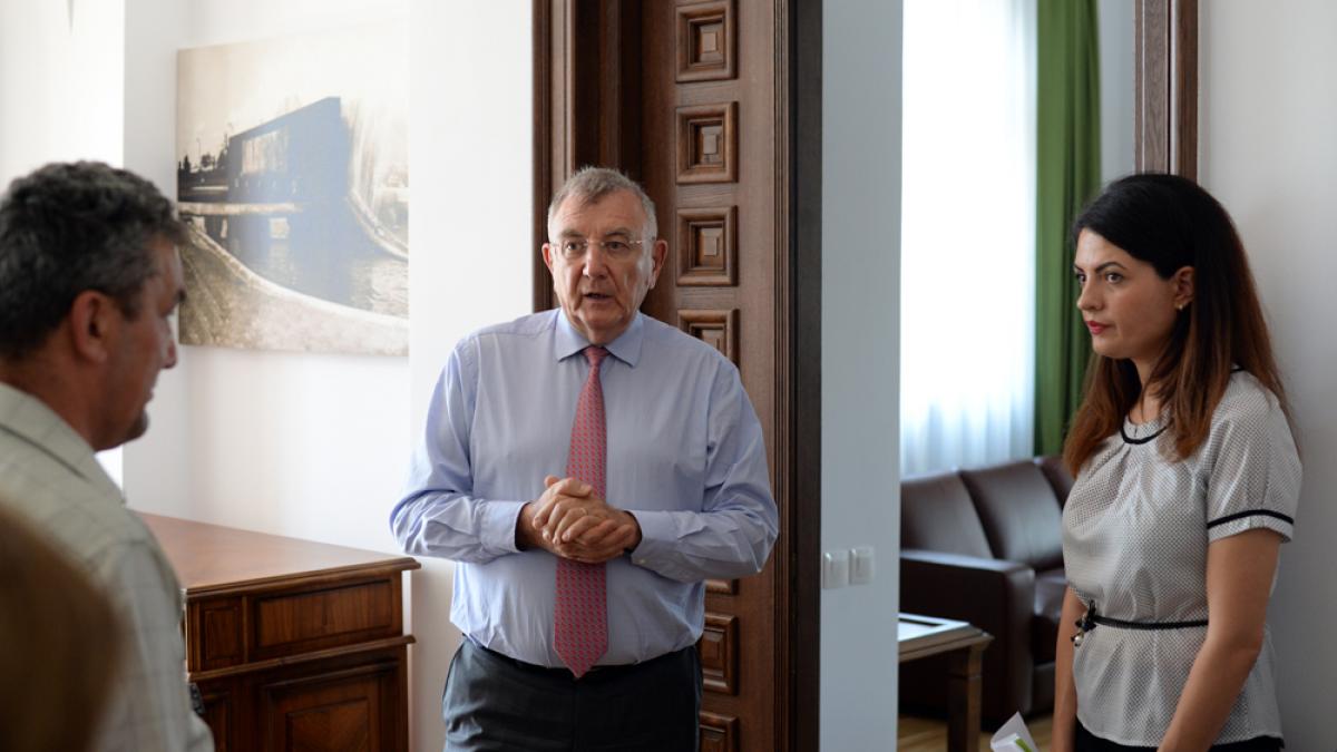 Cum era impartita MITA la Primaria sectorului 1