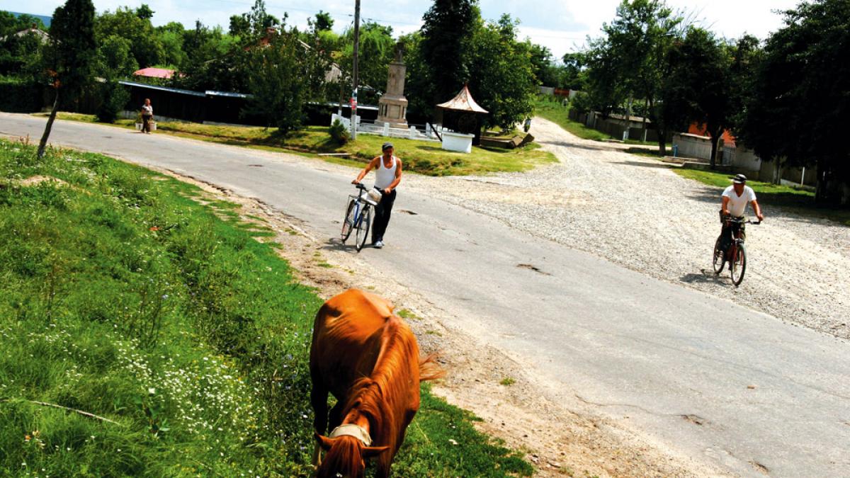 Cum falimentezi comunele dându-le un milion de euro! Pagubele din fondurile SAPARD, plătite de stat
