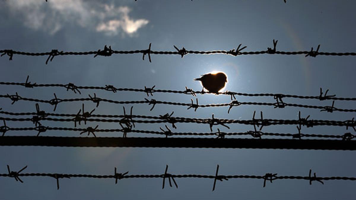 Puşcării noi la Caracal şi Berceni-Prahova. Penitenciarele vor fi amplasate în zonele supraaglomerate din ţară