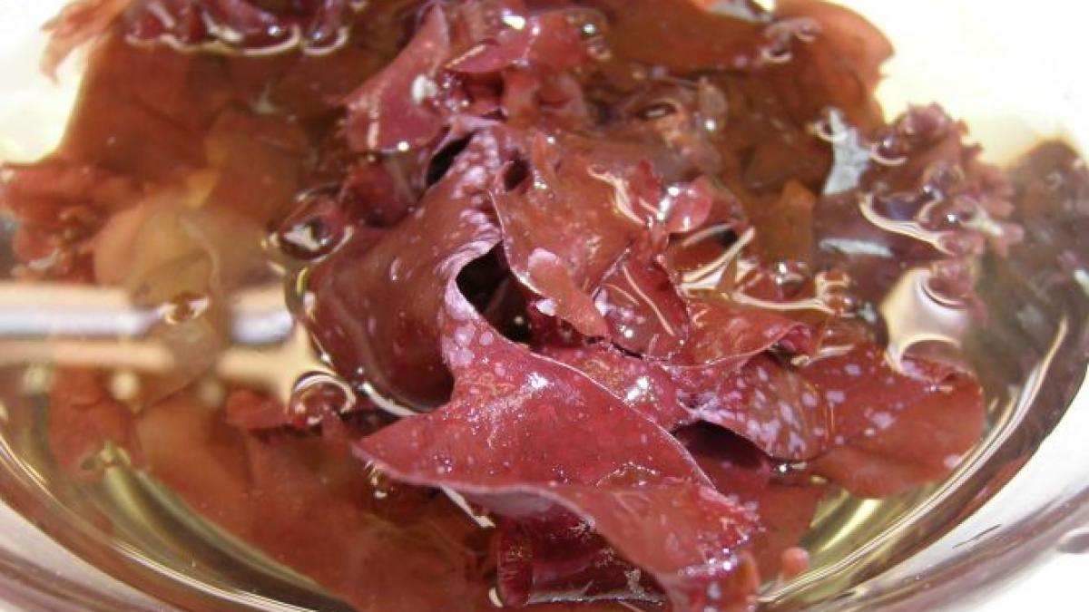 Cercetătorii creează lucruri trăsnite
