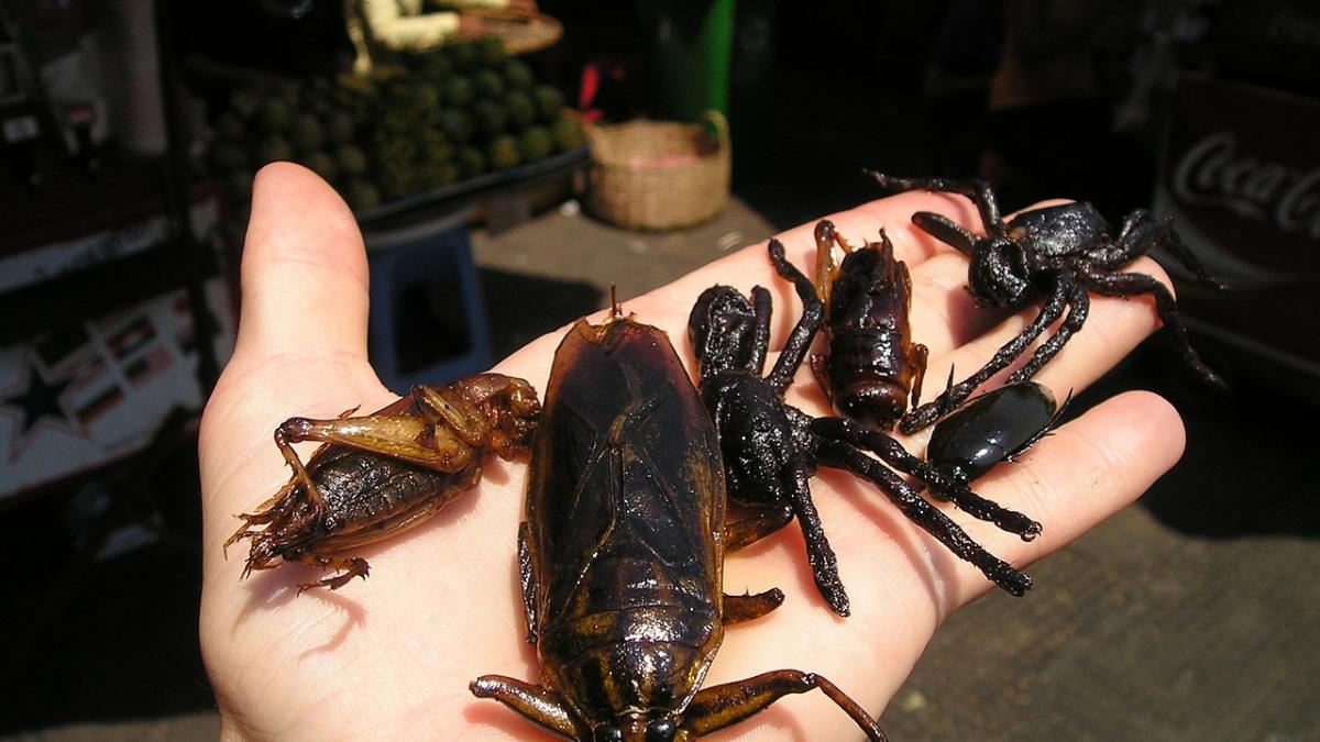15 lucruri pe care nu le ştiai. Informaţii amuzante