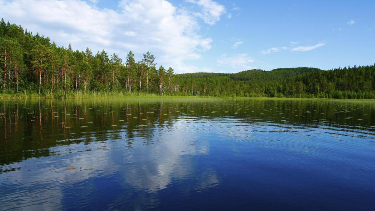 O adolescenta a facut o descoperire INCREDIBILA intr-un lac. Imediat au aparut cautatorii de COMORI