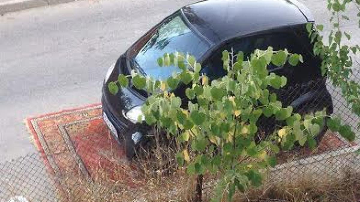 (DEZ)ILUZIA zilei. Noile covoraşe auto
