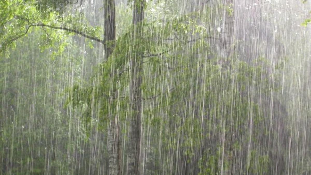 Prognoza METEO 20 august. Ploi locale şi vreme răcoroasă