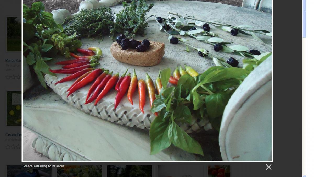 Concurs de fotografie pentru alimentaţie sănătoasă