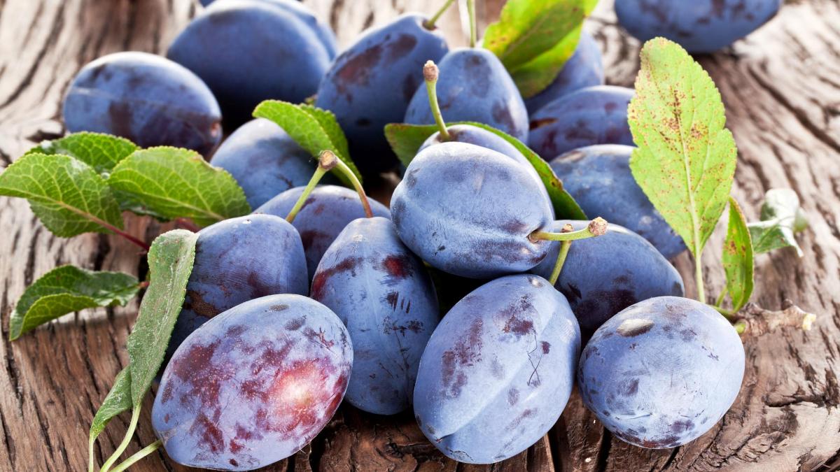 Dieta cu PRUNE. Cură specială pentru FUMĂTORI