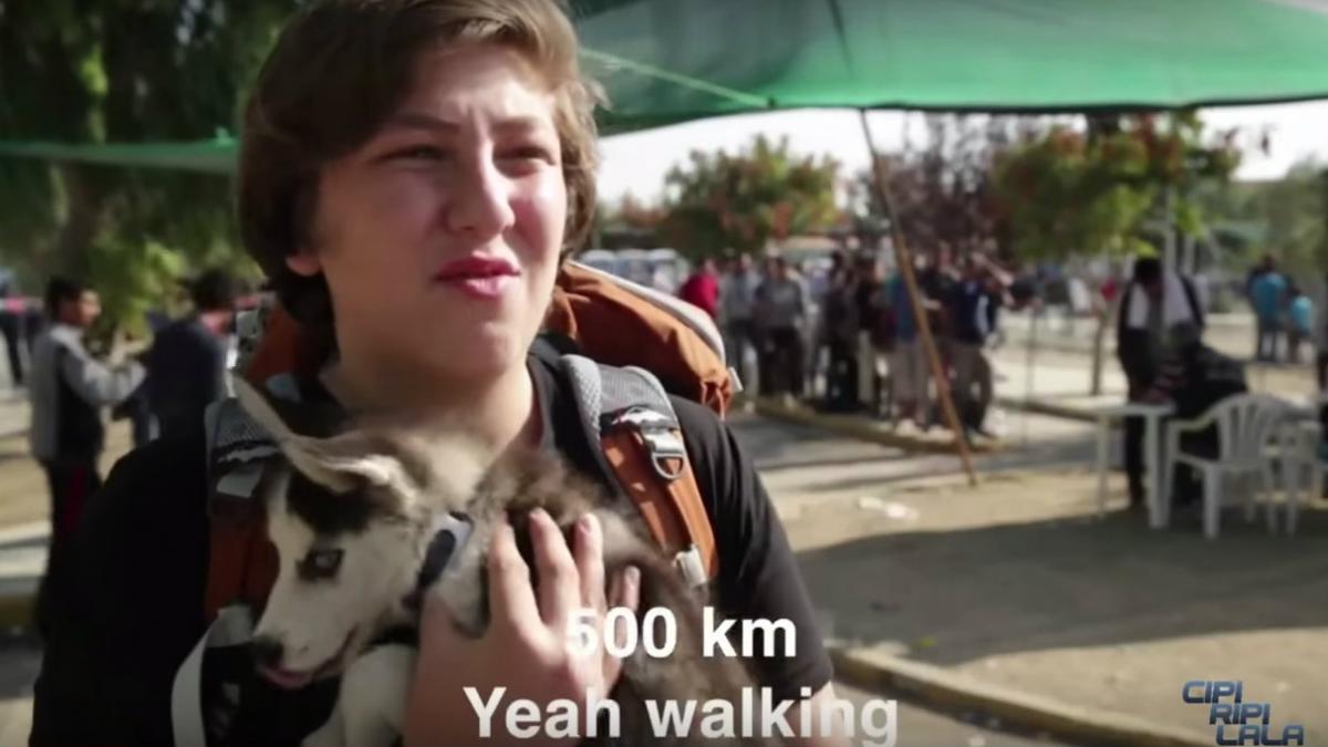 video aslan si rose povestea adolescentului sirian care calatoreste alaturi de catelusa lui