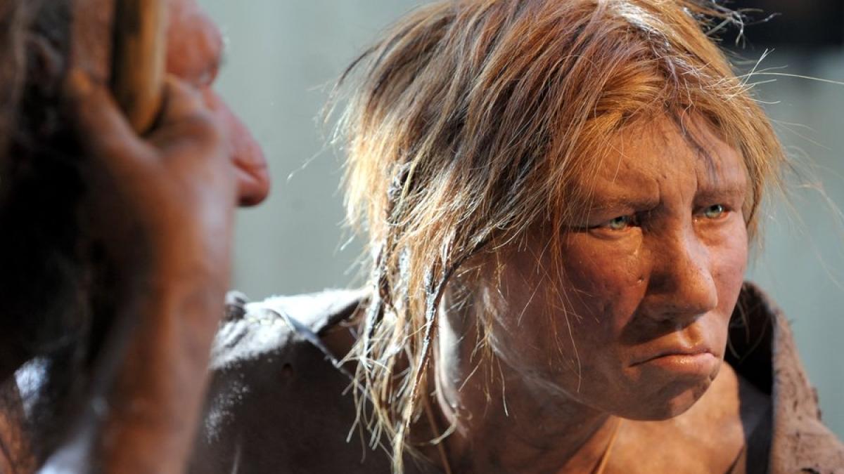 Poluarea cu metale grele, o posibilă cauză a dispariţiei omului de Neanderthal