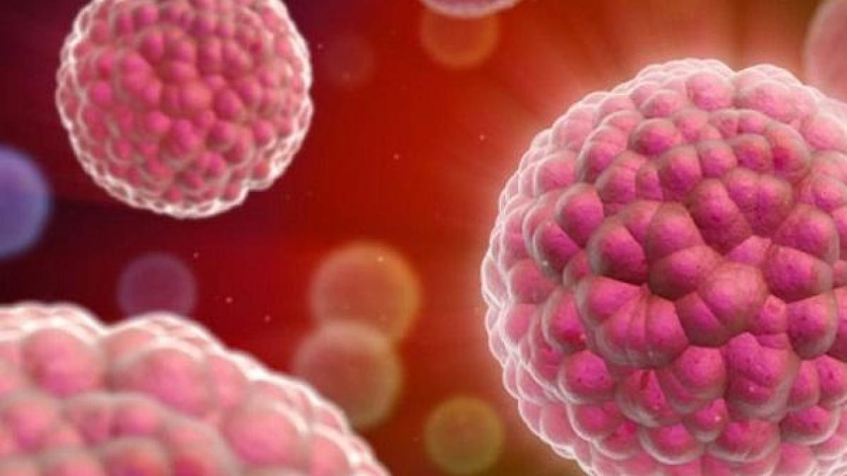 Unul din alimentele noastre preferate cauzează CANCER