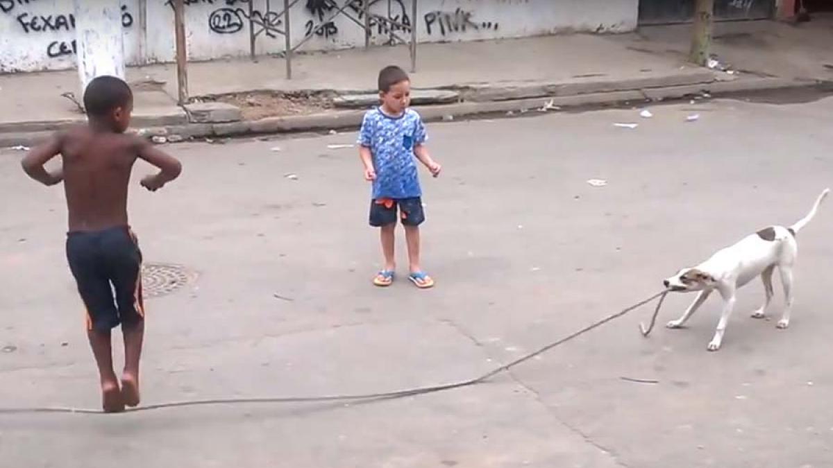 video de ce un copil poate fi inlocuit cu un caine
