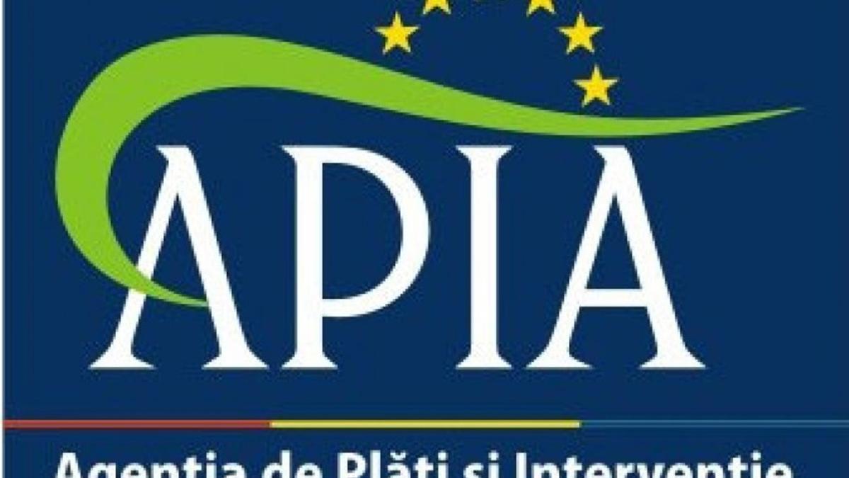 Trei persoane, reţinute de DNA în dosarul APIA 
