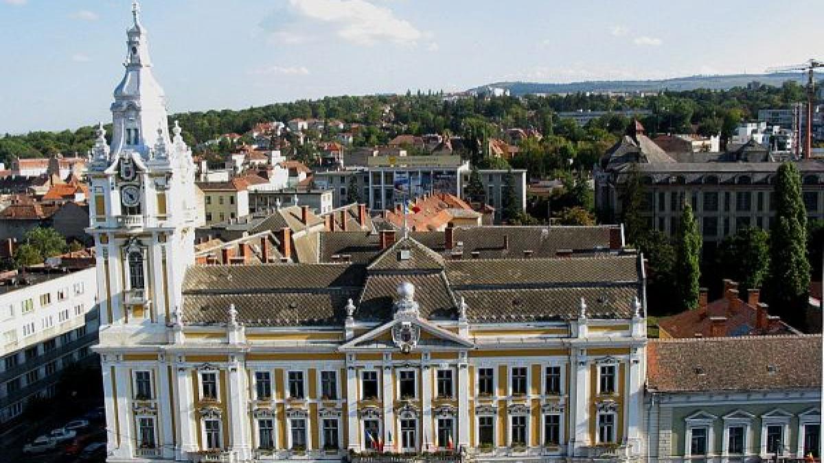 Anchetă amplă privind mita din contracte de deratizare; persoane din Primăria Cluj-Napoca, urmărite penal 