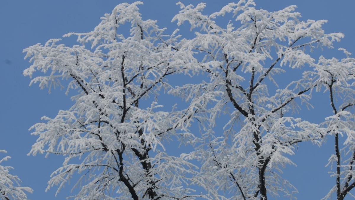 Prognoza METEO pentru 10 și 11 octombrie. Cod galben de ploi şi ninsori