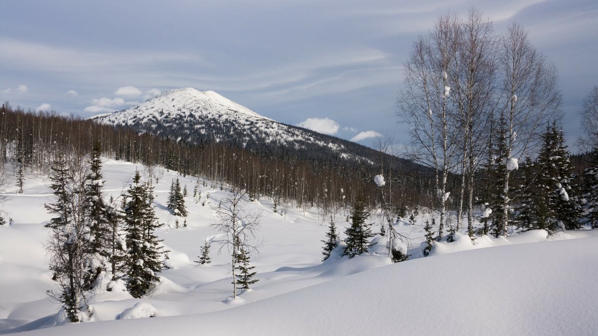 INCREDIBIL! Locuitorii unui sat din Siberia au renunțat la alcool. Ce li s-a întâmplat după această decizie?