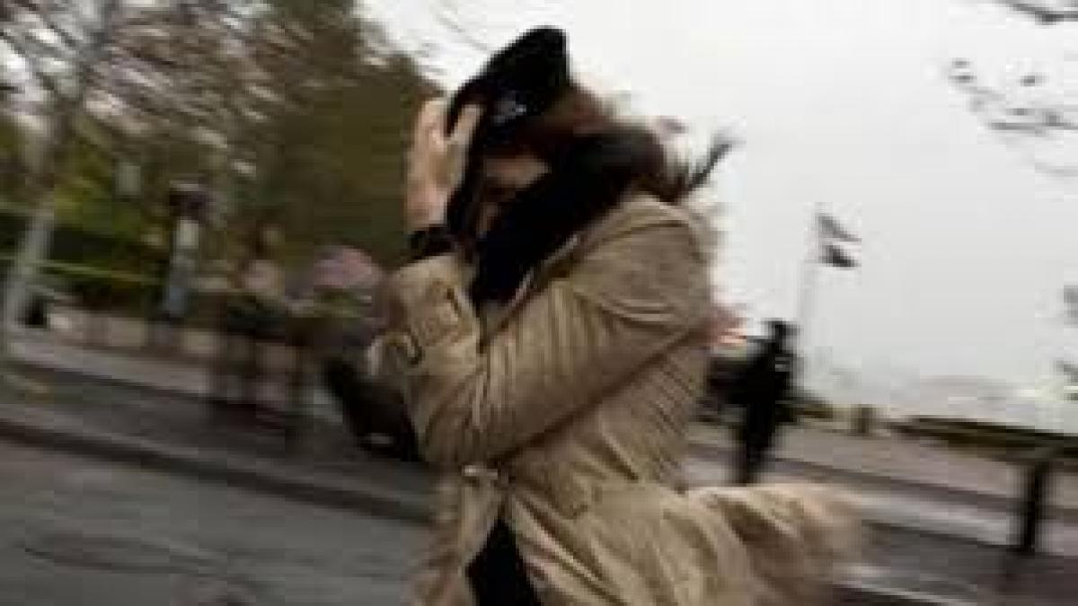 AVERTIZARE METEO. Cod galben de vânt în judeţul Caraş-Severin